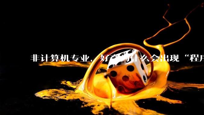 非计算机专业，好奇为什么会出现“程序依赖bug运行”的情况？