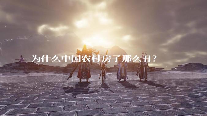 为什么中国农村房子那么丑？