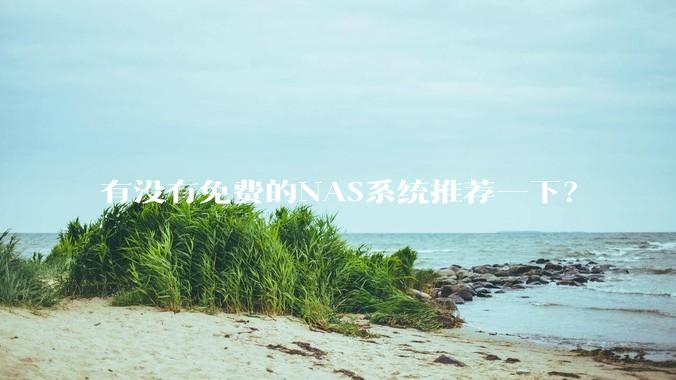 有没有免费的NAS系统推荐一下？