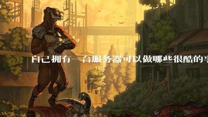 自己拥有一台服务器可以做哪些很酷的事情？